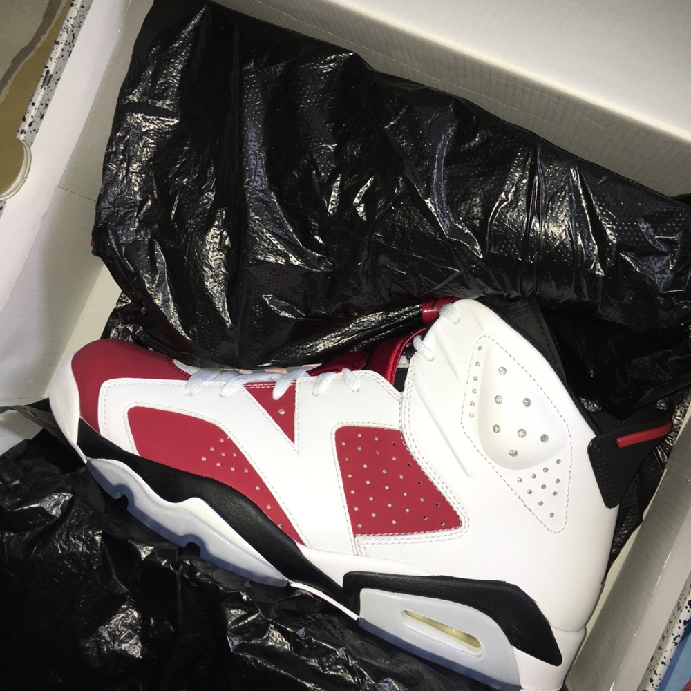 Air Jordan Carmine 6